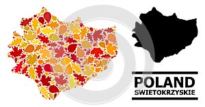 Autumn Leaves - Mosaic Map of Swietokrzyskie Province