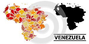 Autumn Leaves - Mosaic Map of Venezuela