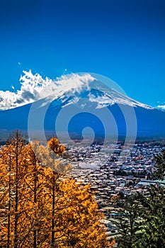 Autumn leaves of Mount Fuji, Yamanashi Prefecture in Japan