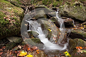 Autumn leaves on mountain river