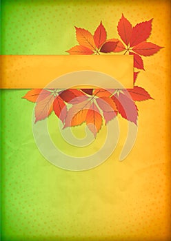 Autumn leaves on old crumpled paper with banner