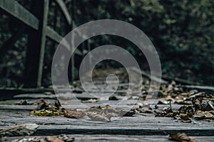 Autumn Leaves on the Old Wood Bridge