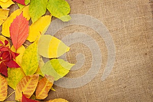 Autumn leaves over burlap texture background