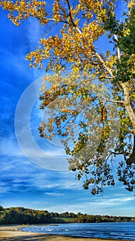 Autumn leaves over Edgewater Park, Cleveland