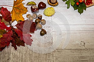 Autumn leaves over wooden background .