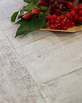 Autumn leaves over wooden background .