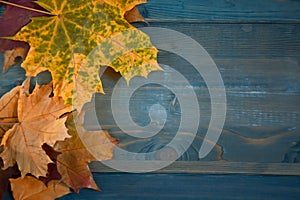 Autumn leaves over wooden background.