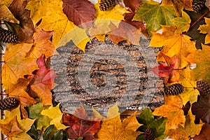 Autumn leaves over wooden background. copy space