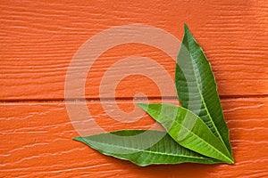 Autumn leaves over wooden background with copy space