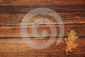 Autumn leaves over wooden background with copy space