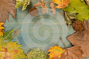 Autumn leaves over wooden background with copy space