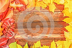 Autumn leaves over wooden background with copy space