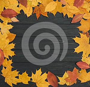 Autumn Leaves over wooden background.With copy space