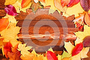 Autumn leaves over wooden background with copy space