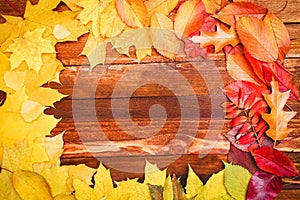 Autumn leaves over wooden background with copy space