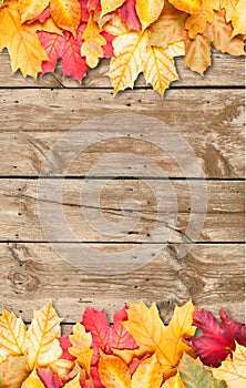 Autumn leaves over wooden background. Copy space.