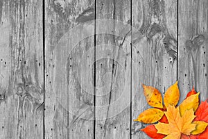 Autumn leaves over wooden background. Copy space.