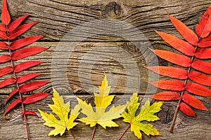 Autumn Leaves over wooden background.Fall. Wood With copy space