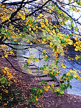 Autumn leaves in a Padiham car park