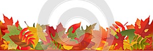 Autumn Leaves Panorama. Vector