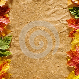 Autumn leaves on parchment