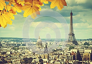 Autumn leaves in Paris and Eiffel tower