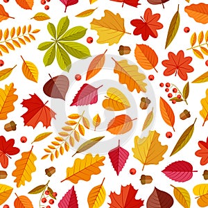 Autumn leaves pattern. Abstract repeating fall leaf, colorful foliage texture for wallpaper and gift cards, seamless