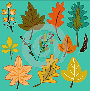 Autumn leaves pattern on green background hand drawn vector