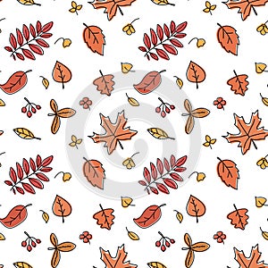 Autumn leaves pattern isolated vector illustration. Fall seamless background. Foliage endless backdrop.