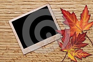 Autumn Leaves and photo frame