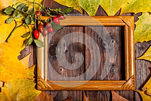 Autumn Leaves and picture frame over old wooden background