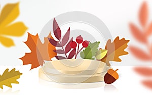 Autumn leaves with podium