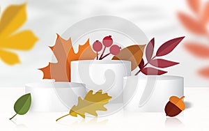 Autumn leaves with podium