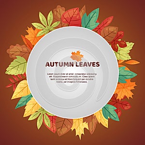Autumn leaves poster vector illustration. Green, red, orange, brown and yellow falling leaves. Colorful maple, chestnut