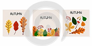 Autumn leaves posters. Fall orange yellow green foliage. Oak birch apple tree hand drawn elements with stamp texture, modern