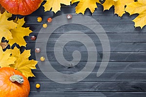 Autumn leaves and pumpkin over old dark wooden background with copy space