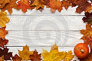 Autumn leaves and pumpkin over old wooden background