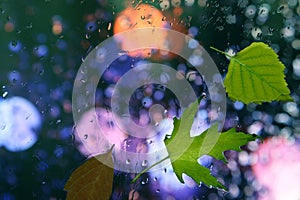 Autumn leaves in rainy weather on the window glass