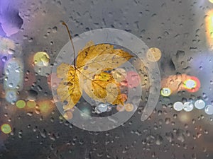 Autumn leaves on rainy window glass wet pavement defocus rainy street blurred light at evening