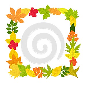 Autumn leaves rectangular frame simple vector minimalist concept flat style illustration