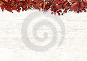 Autumn leaves with red berry over wooden background