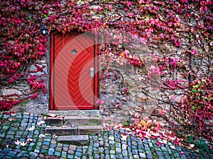Autumn leaves and red door