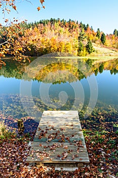 Autumn leaves reflecting in the water