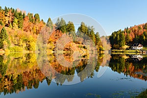 Autumn leaves reflecting in the water