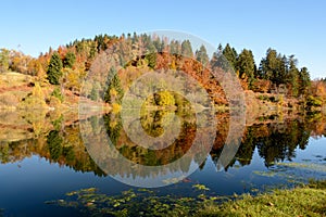 Autumn leaves reflecting in the water