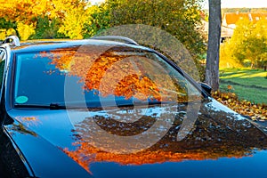 Autumn leaves- reflexion on a car