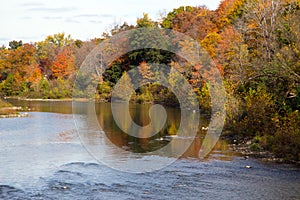 Autumn Leaves River Changing Colors Southwestern Ontario