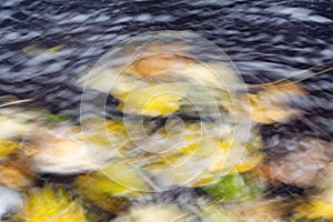 Autumn leaves in a river. Intentional camera movement.