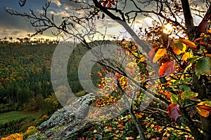 Autumn leaves on rocks at sunset