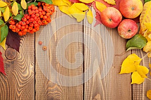 Autumn leaves, rowan berries and apples over wood background